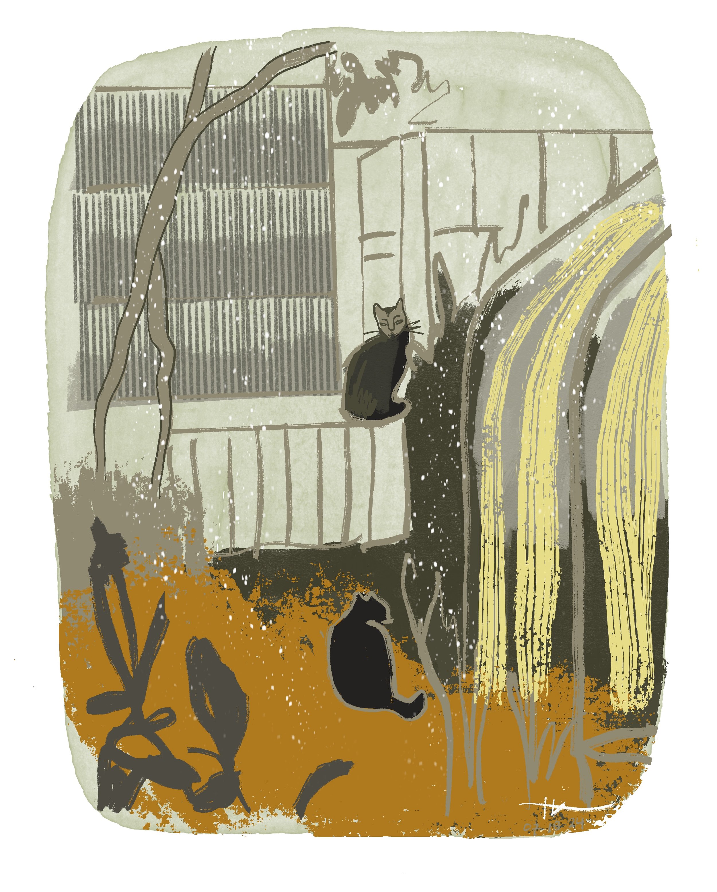 Drawings // 2024 — Yoko OK